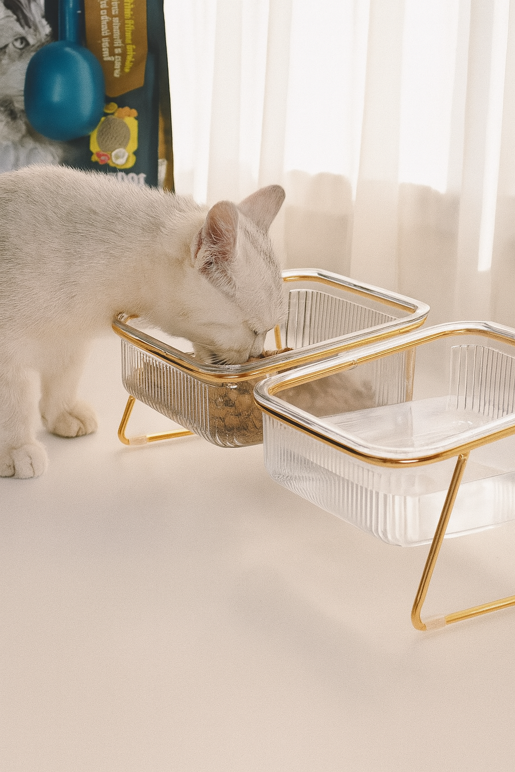 Transparent Double Cat Bowl