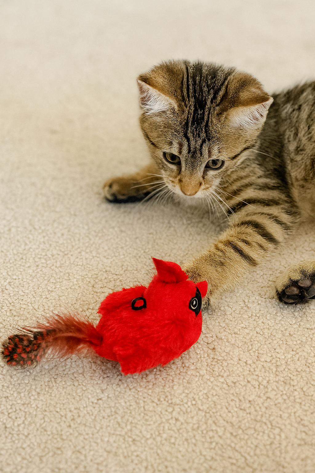 Interactive Bird Toy