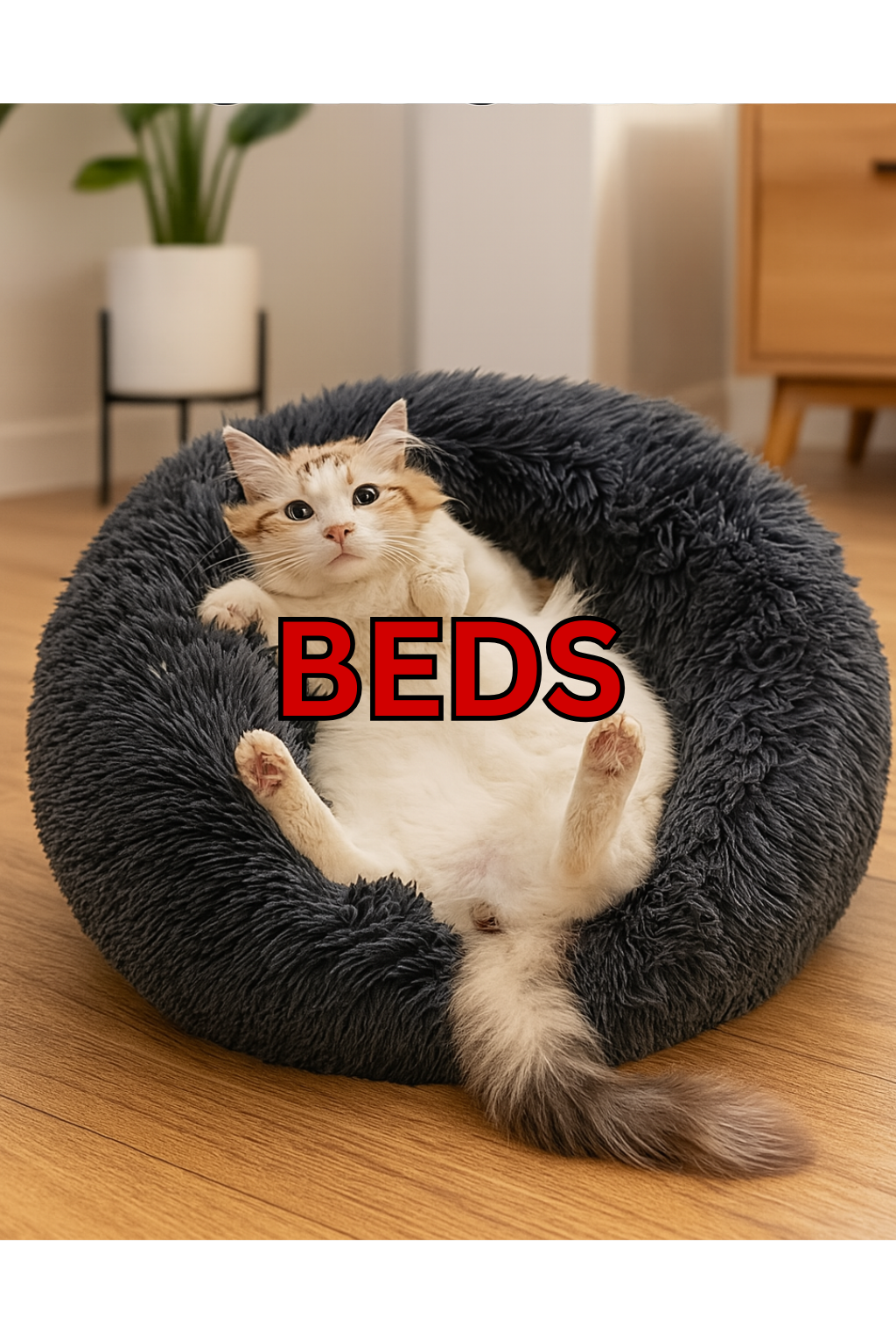 CAT BEDS & TREES