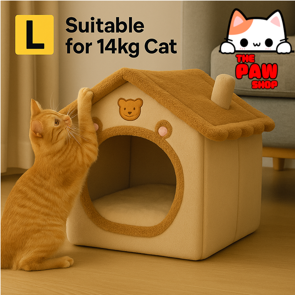Cat House - Bear Style