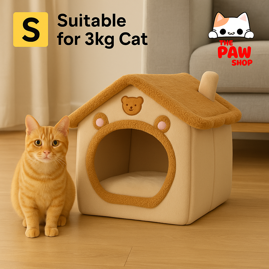 Cat House - Bear Style