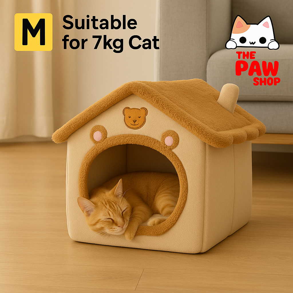 Cat House - Bear Style